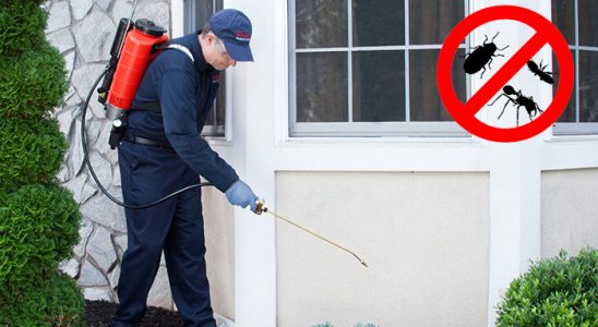 Göynük Kene İlaçlama böcek ilaçlama ve haşere kontrolü — ilaclama-tr.com